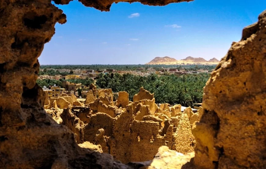 11 Days Cairo – Bahariya Oases & Nile Cruise.