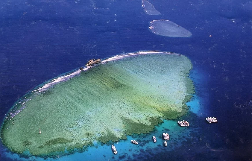 Day Trip to Tiran Island