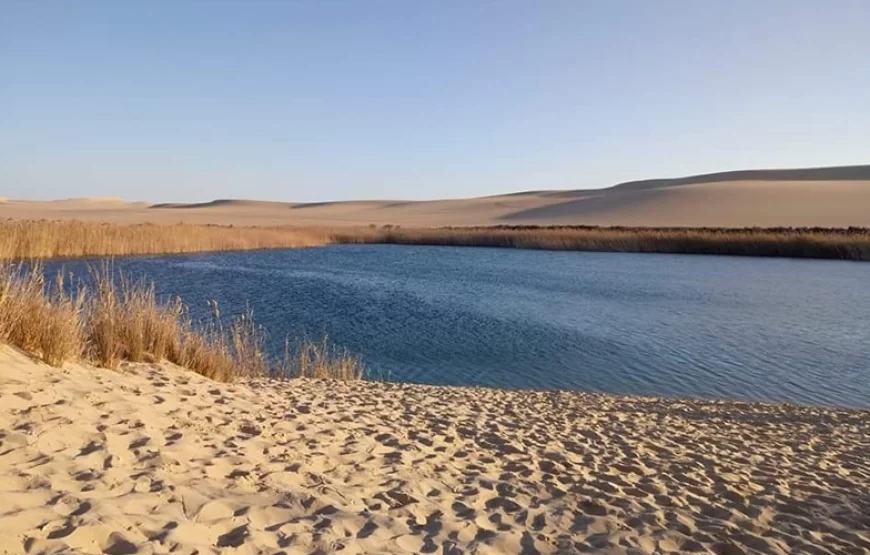 07 Days Cairo – Alexandria – Siwa