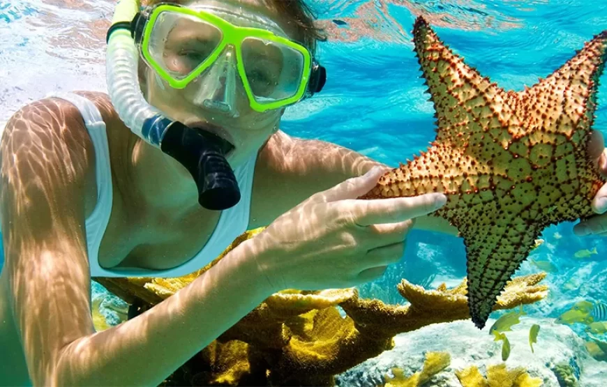 Giftun Island Snorkeling Trip