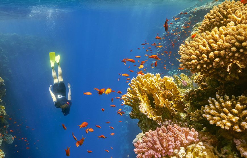 Dahab Safari and Blue Hole Snorkeling Tour