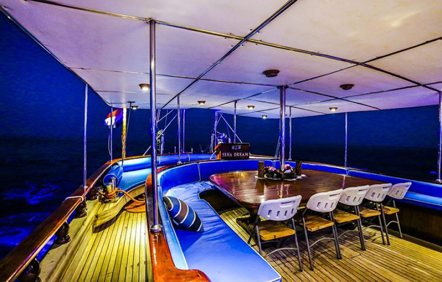 Dinner Cruise & Show Sharm