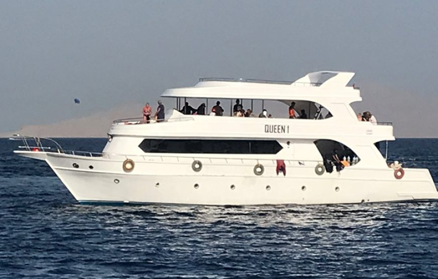 Dinner Cruise & Show Sharm